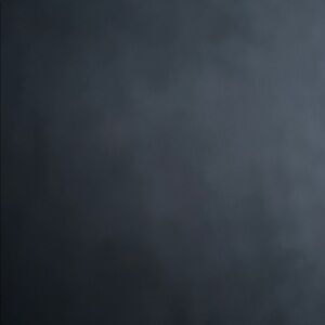 Whoever’s doing bids is the jacket is no longer available I’m sorry